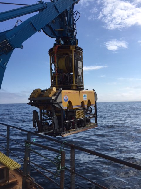 On water operations to remove bulk oil, 2018