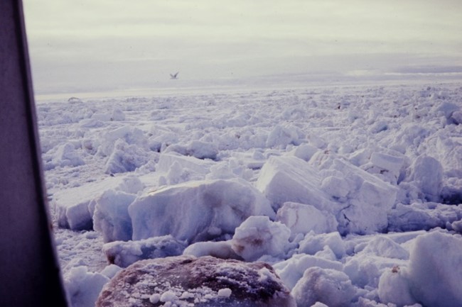 Rear view of broken ice