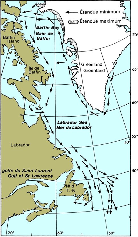 Carte des Sources et principales trajectoires des icebergs dans les eaux canadiennes