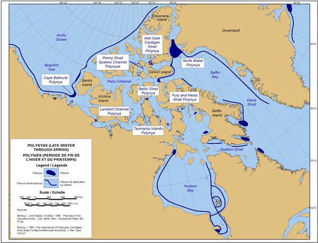 Carte de Disposition des polynies récurrentes de l'Arctique canadien