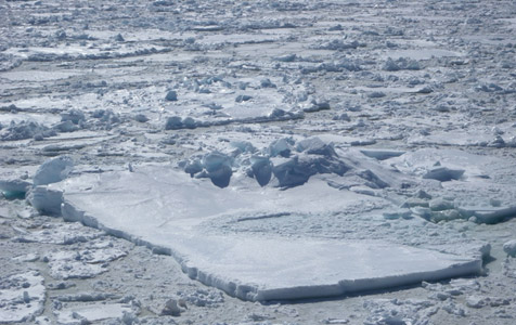 Example of First-Year Ice