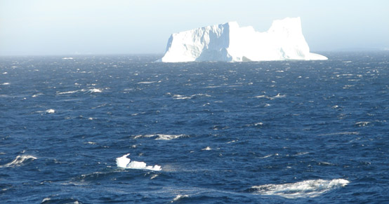 Iceberg and Growlers in the Open Sea
