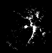 Image des points SART tels qu’ils apparaissent sur un écran radar.